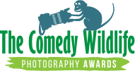 Comedy Wildlife